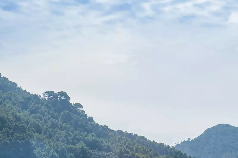 Bewaldete Berglandschaft auf Mallorca unter hellem Himmel